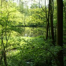 Soběšické rybníčky