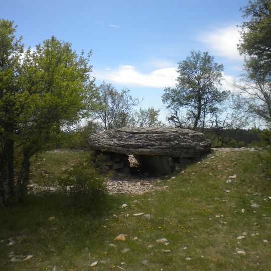 Dolmen de Chamgefège