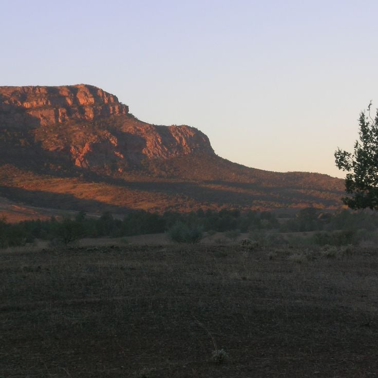 Ikara-Flinders Ranges National Park