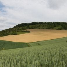 Apfelberg