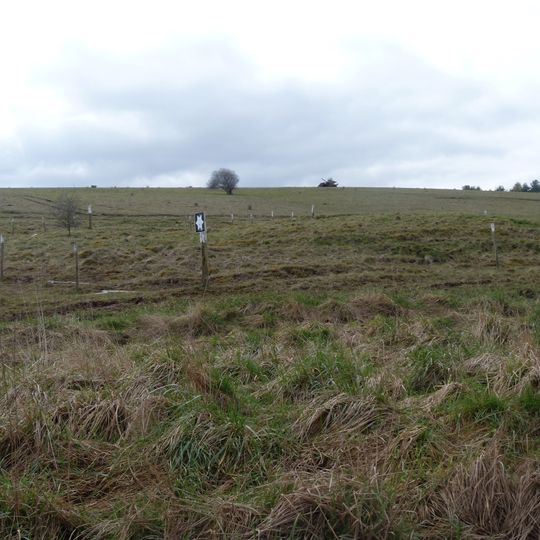 Bowl barrow: one of a dispersed group of five barrows adjacent to the Imber-Warminster track