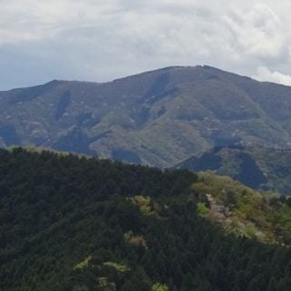 Mount Bonoore