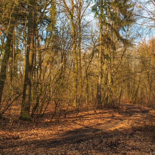 U Pohránovského rybníka