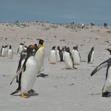 Volunteer Beach