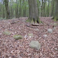 Großsteingrab Rothenmoor 1