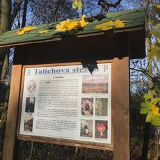 Talichova stezka