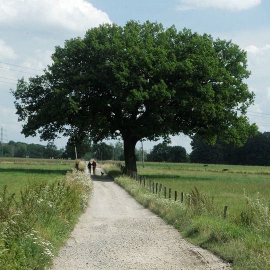 LSG-Propsteier Wald mit angrenzenden Flaechen