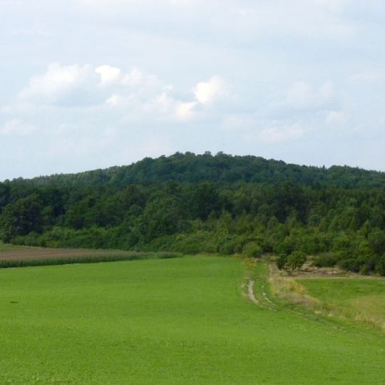 Schönbrunner Berg