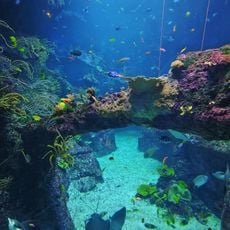 Aquarium de Biarritz