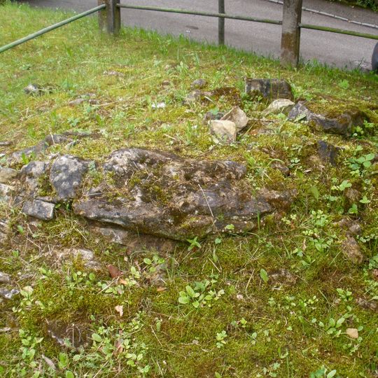 Felsblock aus Flyschsandstein