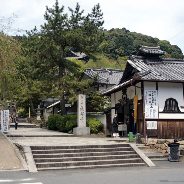 Temple Hase