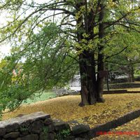 Gudong Town, Tengchong