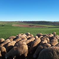 Khouribga (província)