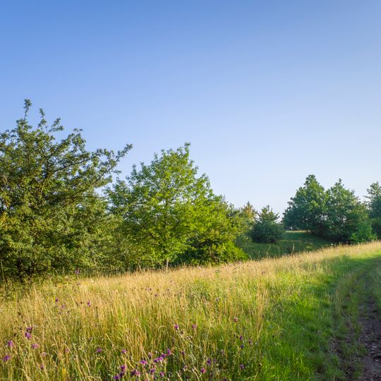 Talhänge der Lauer bei Stadtlauringen