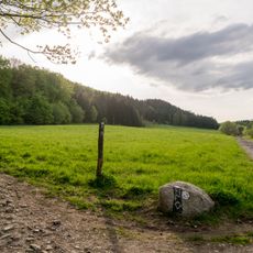 LSG Bielefelder Osning mit Kalkstein- und Sandsteinzug