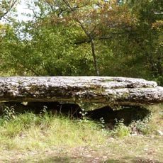 Dolmen de la Peyro Levado