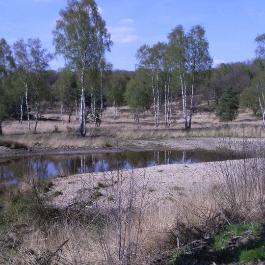 Parco nazionale De Meinweg