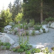 Jardin botanique alpin du château Savoie à Gressoney-Saint-Jean