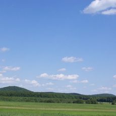 Bohyt