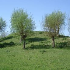 Vliedberg Berg van Troje