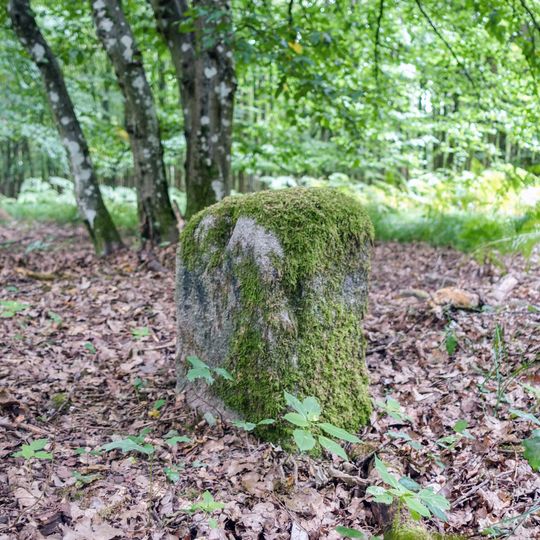 Grenzstein 2 bei Mauschelhof