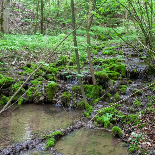 Bach und Schluchtwald bei Untermässing