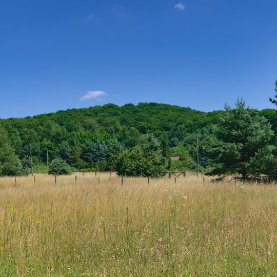Rezerwat przyrody Góra Chełm