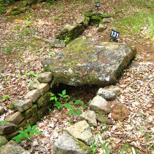 Nécropole mérovingienne d'Audun-le-Tiche