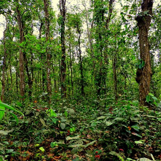 Singra National Park