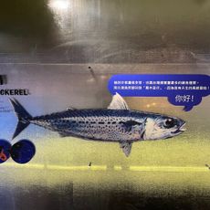 大鯖魚夢工廠