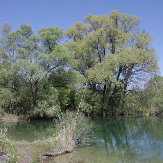 Vogelfreistätte südlich der Fischteiche der Mittleren Isar