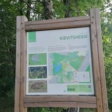 Kievitsheide
