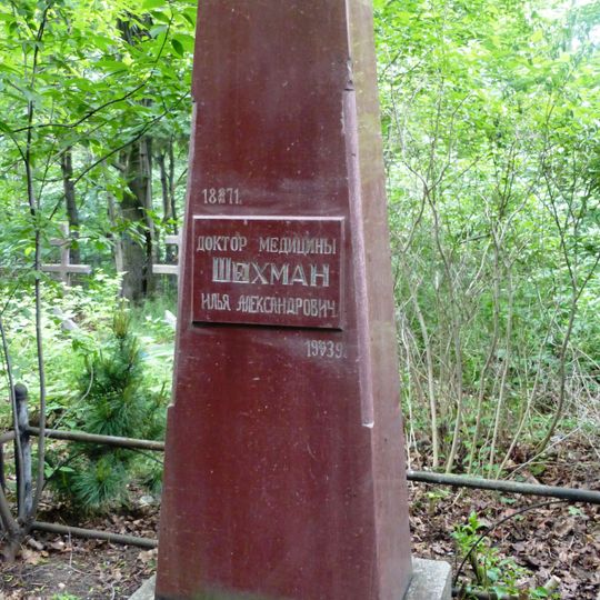 Могила Шехмана И.А. , врача, Героя Труда