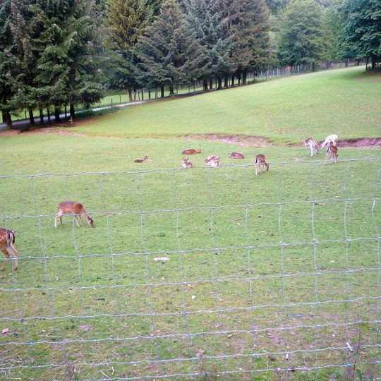 Wildpark Gersfeld