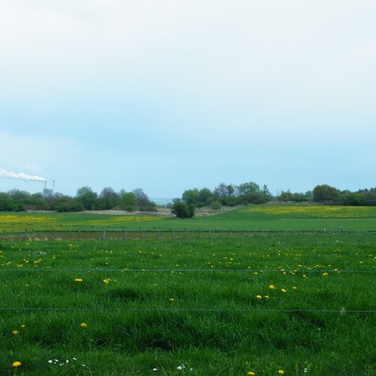 Grünlandkomplex am Frettholz