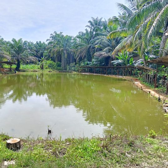 Kolam Pancing Kasman Lizar