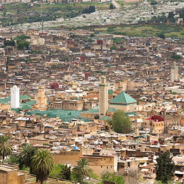 Fez medina