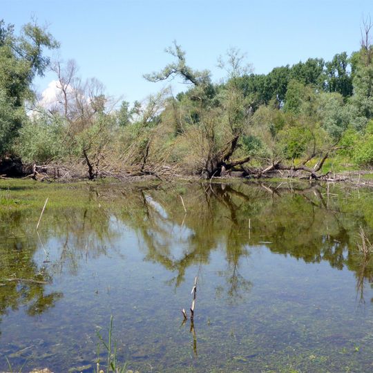 Altrhein Kleiner Bodensee