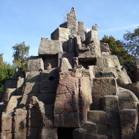 Blijdorp: bergdierenrots