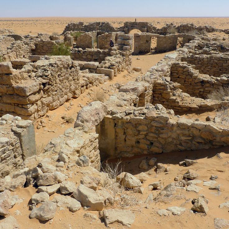 Oasis del Desierto Ksar Ghilane