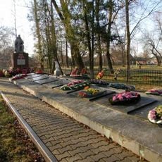 Брацкая магіла (Парычы)