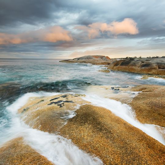Bicheno