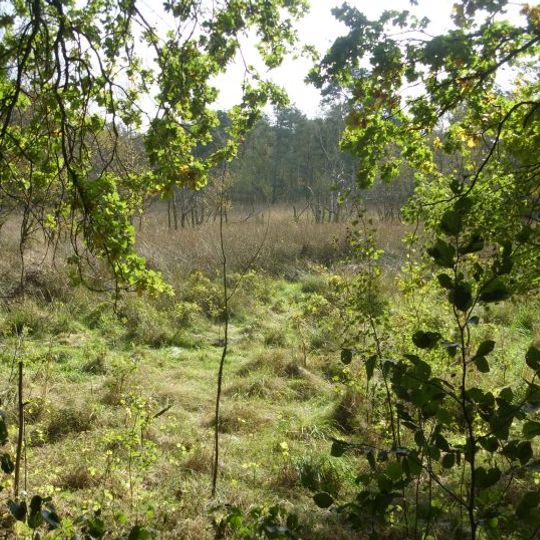 Bullensee, Hemelsmoor