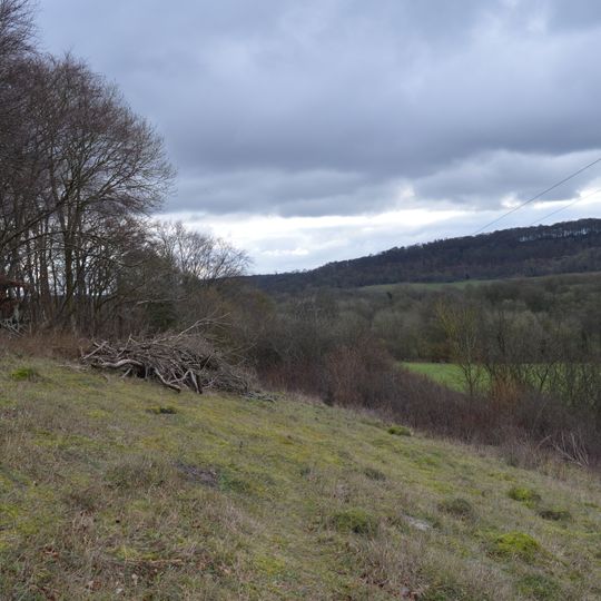Wormsley Chalk Banks