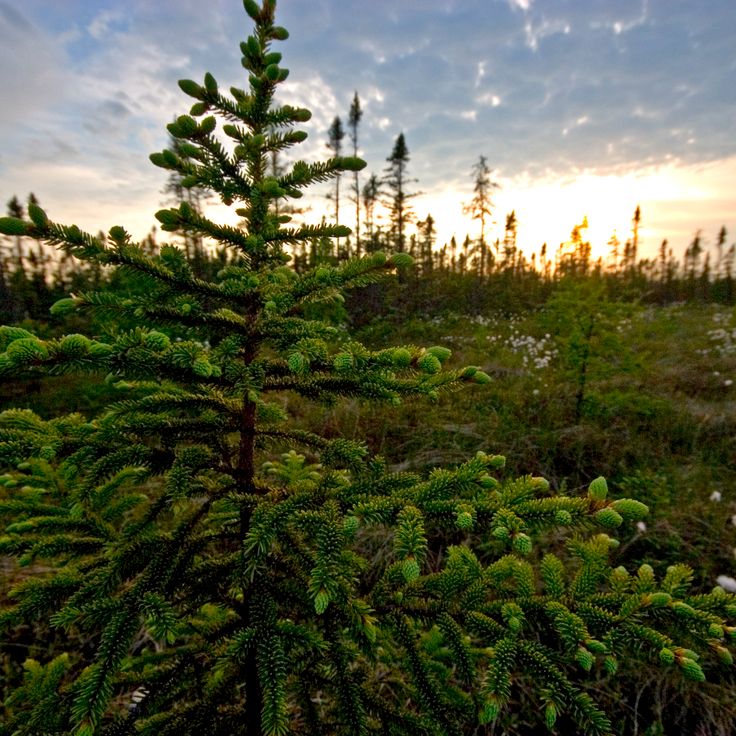 Zone de Loisirs d'État Big Bog