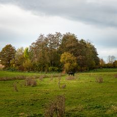 LSG "Wolfschlugen" (4 Teilgebiete) vom 18.04.1985