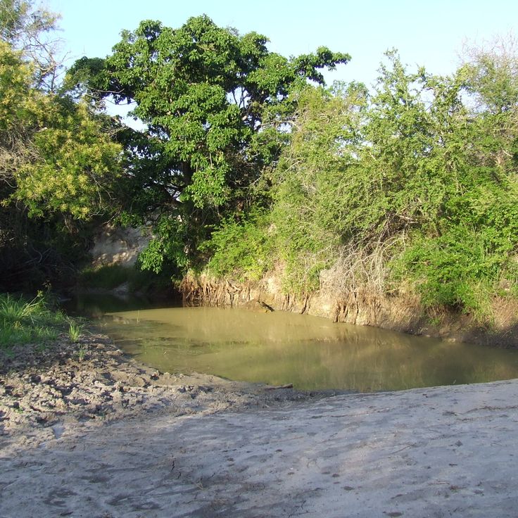 Parco Nazionale Mkomazi