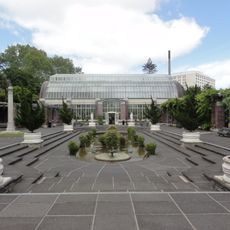 Auckland Domain Wintergardens