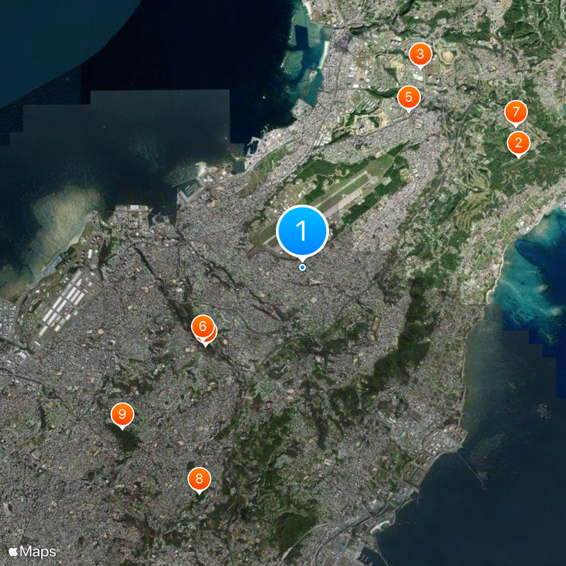 Okinawa International University Map