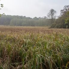 Spreewald und Lieberoser Endmoräne
